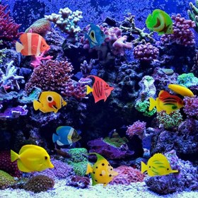 Resim 20 Adet Tropikal Akvaryum Süsleri, Gerçekçi Yüzen Balık Heykelleri, Ev ve Su Bitkisi Aksesuarları için Plastik Akvaryum Süsleri, Tropikal Akvaryum Geliştirme|Canlı Akvaryum Tasarımı|Renkli Heykeller, Büyük Akvaryum Süsleri 