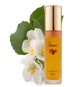 Resim Hawaii Orjinal Kadın Parfümü Garantili Orjinal Bayanların Yılların Vaz Geçilmez Kalıcı Kokusu 55 ML 