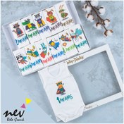 Resim Kız-erkek Bebek Her Aya Özel Baskılı 12'li Anı Çıtçıtlı Atlet Body-561 