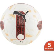 Resim Puma Orbita Süper Lig 2 Fifa Pro Futbol Topu 8419301 Krem 