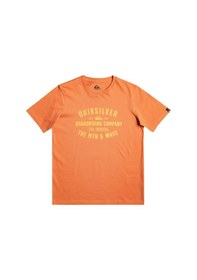 Resim Quiksilver Qs Surf Lockup Ss Yth Erkek Çocuk Tişört Turuncu 