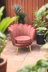 Resim LOVİSSE HOME Papatya Berjer, Tekli Koltuk, Ofis, Bekleme, Güzellik Merkezi, Otel, Lobi, Çay Seti 