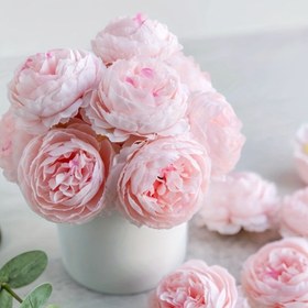 Resim DIY El İşleri, Düğün Dekoru ve Ev Aksesuarları için 6 Adet Yapay Şakayık Çiçekleri - Yeşil Yapraklı Gerçekçi Plastik Pembe Şakayıklar, Vazolar, Merkez Süsleri ve Mezuniyet Sezonu Dekorasyonları, Buket Aksesuarları için Mükemmel 
