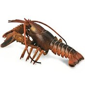 Resim Collecta Istakoz 