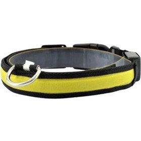 Resim Petzz Işıklı Ayarlanabilir Flaşörlü Kedi ve Köpek Boyun Tasması Sarı 52-60 Cm / 2.5 Cm 