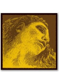 Resim Pirastro 315421 Evah Pirazzi Gold E Mi Tek Keman Teli Parlak 