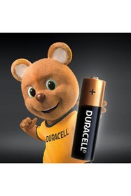 Resim Duracell 12'li Paket Alkalin AA Pil 