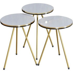 Resim Zigon Sehpa Ve Orta Sehpa Elips Set Çift Gold Beyaz Metal Diğer 