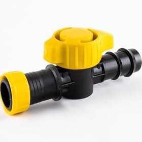 Resim Yüzüklü Kurtağzı Nirvana 