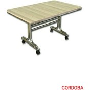 Resim Pratik 70X110 Tekerlekli Orta Sehpa Krom Nikel Kaplamalı Metal (494118493) 