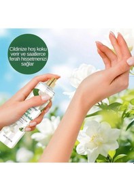 Resim Bodycology Pure White Gardenia Fragrance Mist Çiçeksi Kadın Vücut Spreyi 
