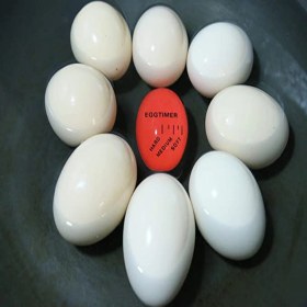 Resim Tamu Yumurta Zamanlayıcı Yumurta Haşlama 