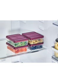 Resim Selka Nora 4 Adet 0.5 Lt. Saklama Kabı Mürdüm 