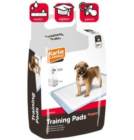 Resim Cosmotex Karlıe Yavru Köpek Çiş Pedi M 60x40 Cm 10lu 