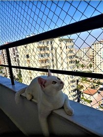Resim 2,50 X 4 Metre Kedi Koruma Filesi Kedi Filesi Balkon Filesi 2 Mm 