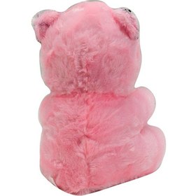 Resim Pelüş Ayı Sevimli Kalpli Ayı 25 Cm 