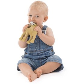 Resim Sophie La Girafe Althir Diş Kaşıyıcı - 0+ Ay 