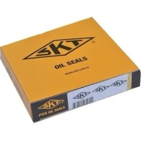 Resim SKT 046259P Difransiyel Kecesi 01029132 30819932 8200068744 