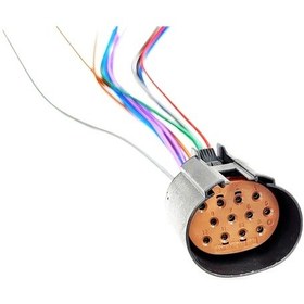 Resim Ford Enjeksiyon Bağlantı Soketi 12 Pin Kablolu 