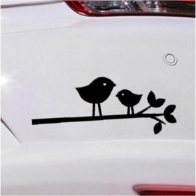 Resim Karikatür Kuşlar Yapışkan Arma Araç&motor&dekor 18 x 8 cm 