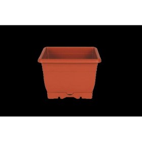 Resim Eli̇f 1 No Balkon Saksi KOD:426 24 !!!!!!!!!! 