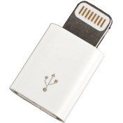 Resim iOS Uyumlu Lightning To Micro Usb Adaptörü Çevirici 