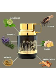 Resim Armaf Odyssey Wild One Gold Edition Edp 100 Ml Erkek Parfümü Odunsu 
