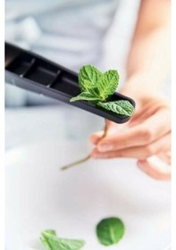 Resim Tupperware Sarımsak Ez 