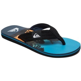 Resim Quiksilver Molokai Layback M Sndl Erkek Çok Renkli Parmak Arası Terlik Aqyl100955-xkbb 