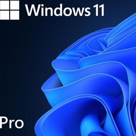 Resim Windows 11 Pro Lisans - 32BİT/64BİT 