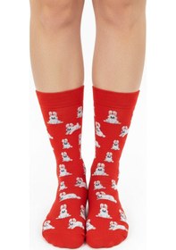 Resim Gost Liria Rabbit Socks Desenli Unisex Soket Çorap Kırmızı 