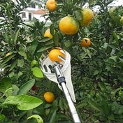 Resim Uzatılabilir Meyve Toplayıcı, 14cm/16cm Çap, Teleskopik Bahçe Aleti, Taşınabilir Yüksek İrtifa Toplama, Tüm Bahçe Meyveleri İçin Uygundur 
