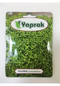 Resim Fesleğen Tohum 