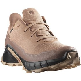 Resim Salomon Alphacross 5 Gtx W Kadın Ayakkabı L47595100 Kahverengi 