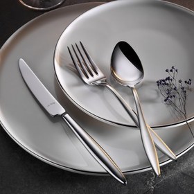 Resim Aryıldız Elegant 89 Parça 12 Kişilik Çatal Kaşık Bıçak Takımı 