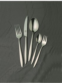 Resim Yvonne Parlak Solingen 96 Parça Kutulu Çatal Kaşık Bıçak Seti Gümüş 