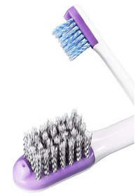 Resim Gh Dent Sh16 Uyumlu 3 Lü Fırçalı Yedek Başlık Seti - Tek Gözlü Yüksek Tazyik & Profesyonel Fırçalama - Bpa Free & Fda Kriterli 