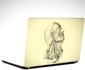 Resim Anatomi Laptop Sticker 15.6 inch (38X27CM) 
