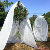 Resim 1 adet Dayanıklı PP Bitki Don Koruma Örtüsü - Kış Bahçe Koruyucu, Bitki ve Ağaçlar için Böcek Bariyer Çantası, Açık Hava Bitki Bakımı için Şeffaf Donlu Kaplama, Bahçe Bitki Koruyucu | Şeffaf Don Örtüsü | Dayanıklı PP Malzeme, Bahçe Bitki Koruyucu 