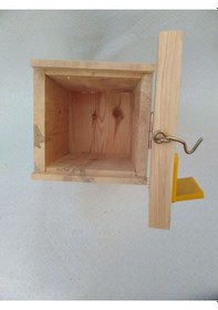 Resim Ana Arı Yetiştirme Kovanı Çıtaya Ve Peteğe Gerek Yok 