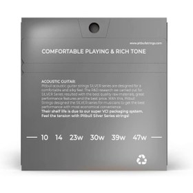 Resim AyrStore Strings Silver Series SAG 10-47 SL Takım Tel Akustik Gitar Teli 010-047 