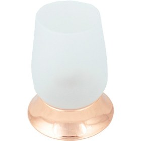 Resim Fkn Bakır Set Üstü Buzlu Camlı Diş Fırçalık Bakır 