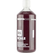 Resim İNNOVACAR DS SCALE Asidik Temizleyici Ve Kireç Sökücü Şampuan Konsantre - 1 lt 