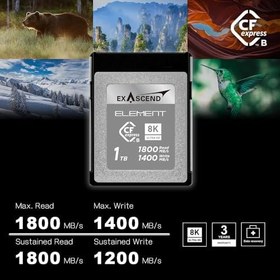 Resim Exascend 256 GB / 512 GB / 1 TB Element CFexpress Kart Tip B, Sürekli Okuma 1.800 MB/s, Canon, Nikon, Panasonic ve Diğer Kameralarla Uyumlu. 