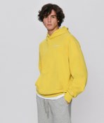 Resim Champion Eco Future Hooded Sweatshirt 