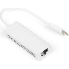 Resim Platoon PLH-092 Type-C USB 3.1 To Rj 45 Ethernet Adaptör 