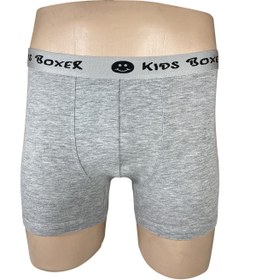 Resim DOĞANYILDIZ Erkek Çocuk 6 Adet Likra Çocuk Boxer 