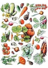 Resim Cadence Pirinç Dekopaj Kağıdı Model 25 