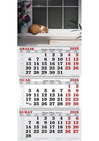 Resim 2026 Yılı Gemici Takvimi-camın Önündeki Kedi 