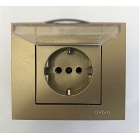 Resim OVİVO GRANO TİTANYUM KAPAKLI TOPRAKLI PİRİZ ÇOCUK K(ÜRÜN ÇERÇEVESİZDİR) 